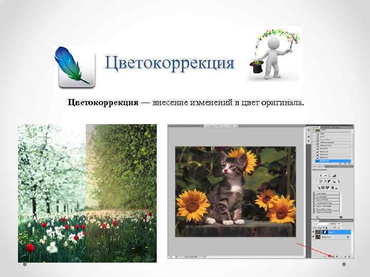 Презентация в adobe