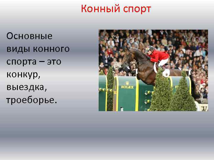 Конный спорт Основные виды конного спорта – это конкур, выездка, троеборье. 