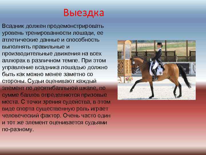 Выездка Всадник должен продемонстрировать уровень тренированности лошади, ее атлетические данные и способность выполнять правильные