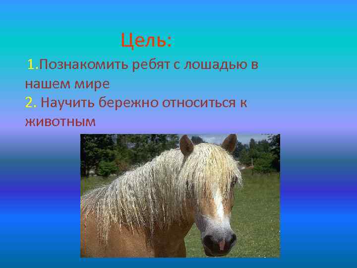 Цель: 1. Познакомить ребят с лошадью в нашем мире 2. Научить бережно относиться к