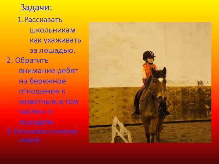 Задачи: 1. Рассказать школьникам как ухаживать за лошадью. 2. Обратить внимание ребят на бережное