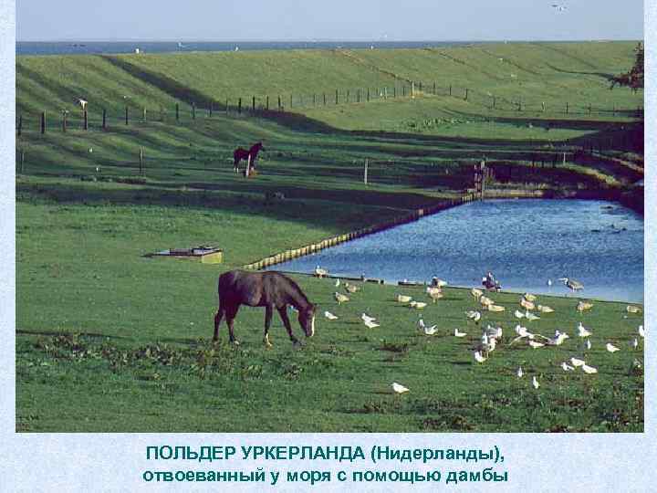 ПОЛЬДЕР УРКЕРЛАНДА (Нидерланды), отвоеванный у моря с помощью дамбы 