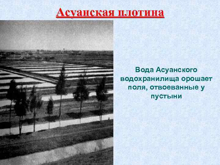 Асуанская плотина Вода Асуанского водохранилища орошает поля, отвоеванные у пустыни 