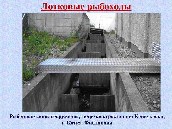 Лотковые рыбоходы Рыбопропускное сооружение, гидроэлектростанция Коивукоски, г. Котка, Финляндия 