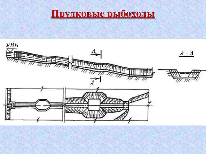 Прудковые рыбоходы 