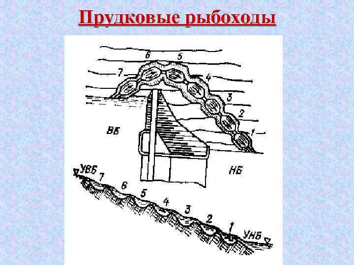 Прудковые рыбоходы 