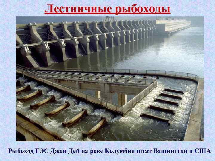 Лестничные рыбоходы Рыбоход ГЭС Джон Дей на реке Колумбия штат Вашингтон в США 