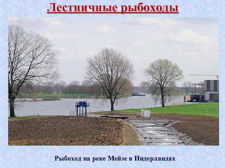 Лестничные рыбоходы Рыбоход на реке Мейзе в Нидерландах 