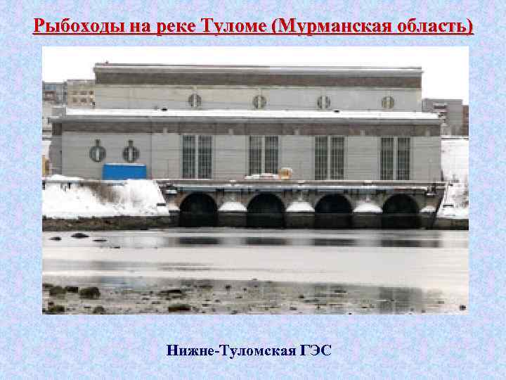 Рыбоходы на реке Туломе (Мурманская область) Нижне-Туломская ГЭС 