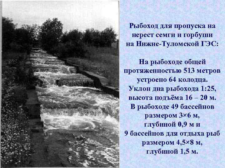 Рыбоход для пропуска на нерест семги и горбуши на Нижне-Туломской ГЭС: На рыбоходе общей