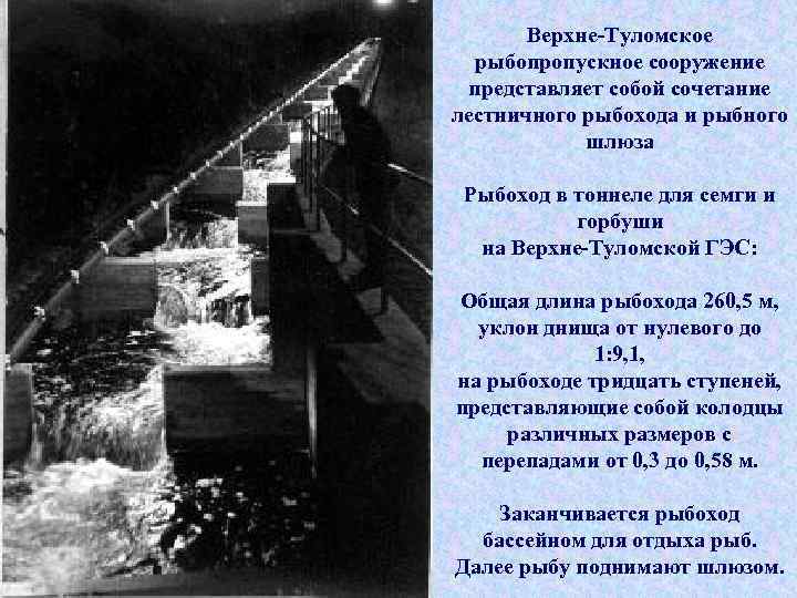 Верхне-Туломское рыбопропускное сооружение представляет собой сочетание лестничного рыбохода и рыбного шлюза Рыбоход в тоннеле