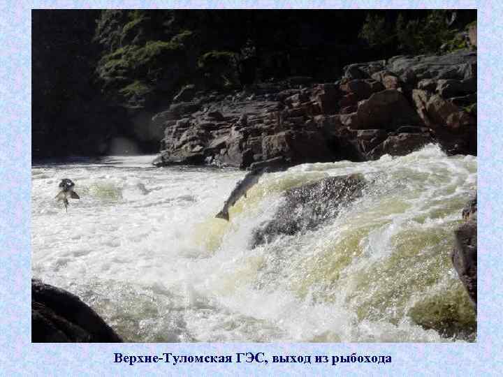 Верхне-Туломская ГЭС, выход из рыбохода 