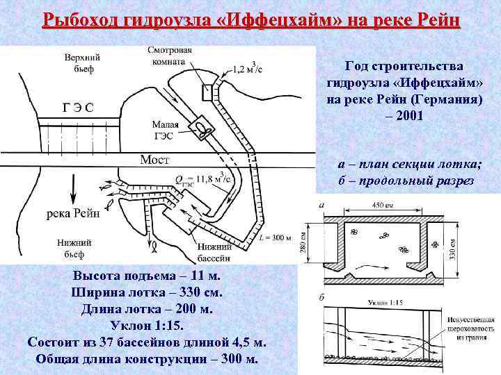 Рыбоход гидроузла «Иффецхайм» на реке Рейн Год строительства гидроузла «Иффецхайм» на реке Рейн (Германия)
