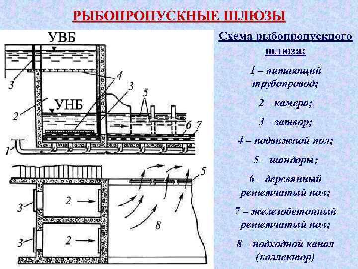 РЫБОПРОПУСКНЫЕ ШЛЮЗЫ Схема рыбопропускного шлюза: 1 – питающий трубопровод; 2 – камера; 3 –