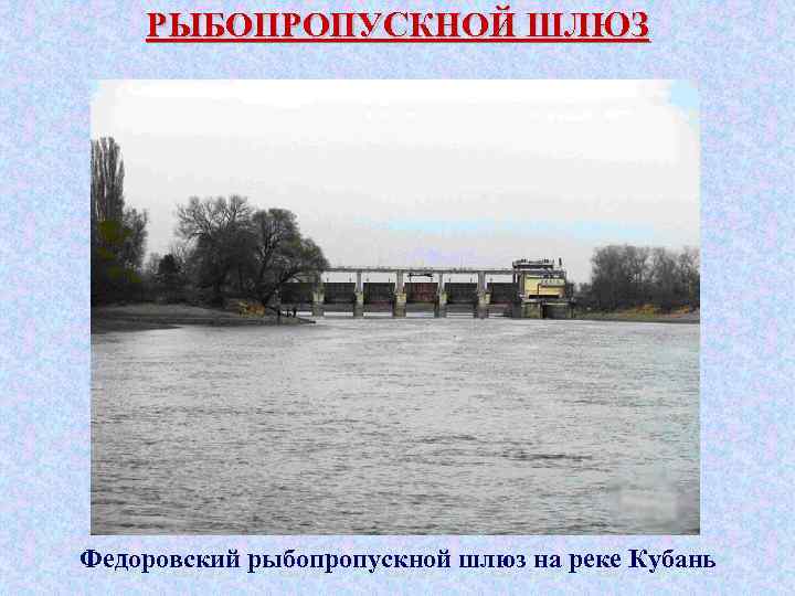 РЫБОПРОПУСКНОЙ ШЛЮЗ Федоровский рыбопропускной шлюз на реке Кубань 