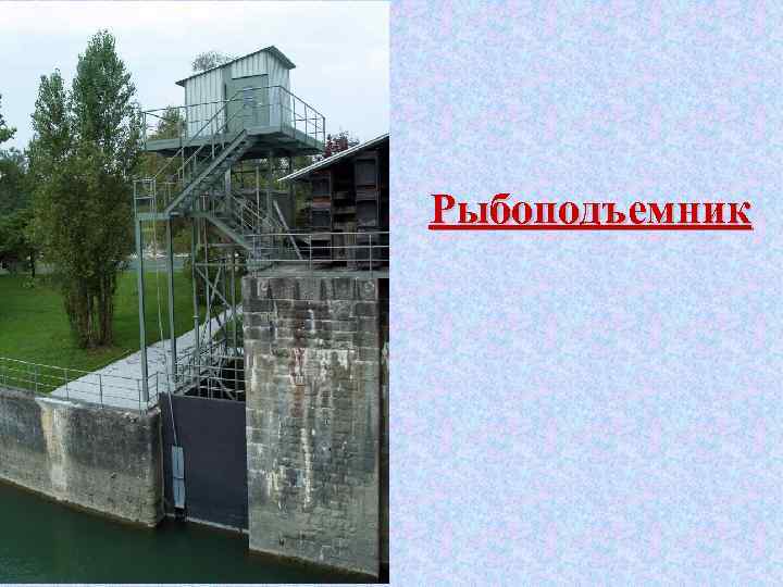 Рыбоподъемник 
