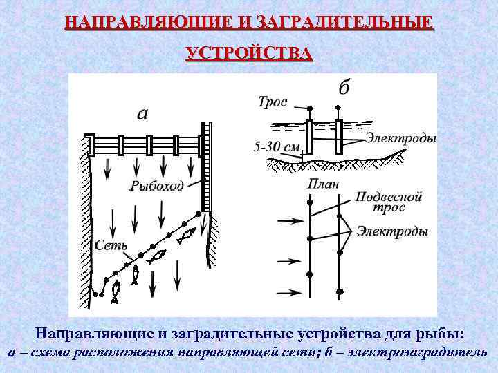 НАПРАВЛЯЮЩИЕ И ЗАГРАДИТЕЛЬНЫЕ УСТРОЙСТВА Направляющие и заградительные устройства для рыбы: а – схема расположения