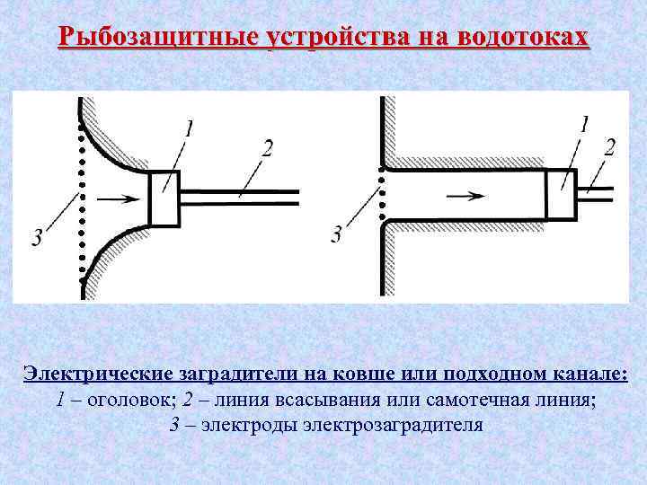Рыбозащитные устройства на водотоках Электрические заградители на ковше или подходном канале: 1 – оголовок;