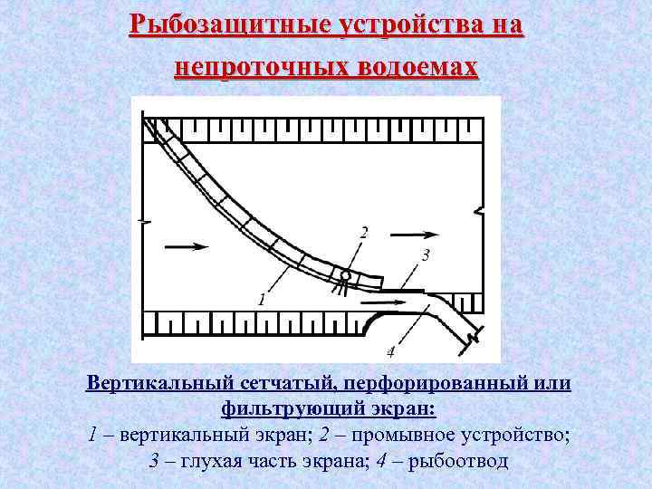 Рыбозащитные устройства на непроточных водоемах Вертикальный сетчатый, перфорированный или фильтрующий экран: 1 – вертикальный