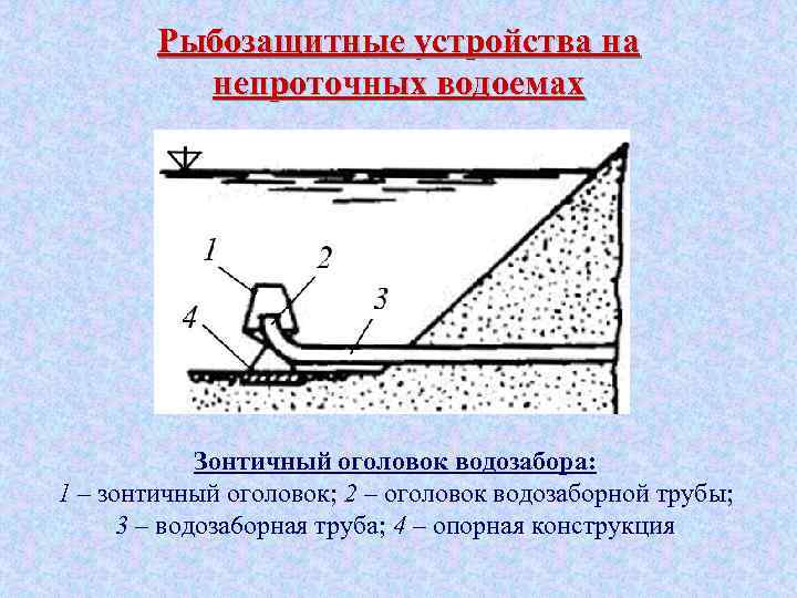 Рыбозащитные устройства на непроточных водоемах Зонтичный оголовок водозабора: 1 – зонтичный оголовок; 2 –
