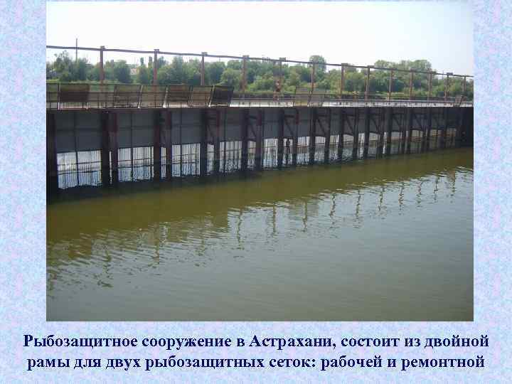 Рыбозащитное сооружение в Астрахани, состоит из двойной рамы для двух рыбозащитных сеток: рабочей и