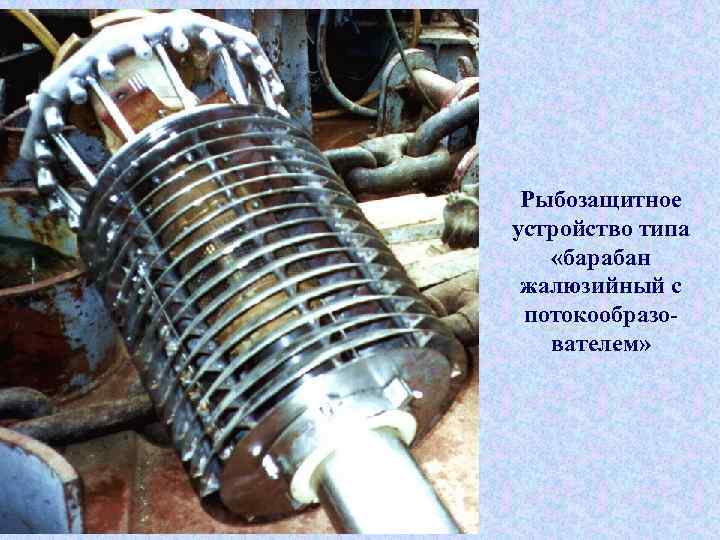 Рыбозащитное устройство типа «барабан жалюзийный с потокообразователем» 