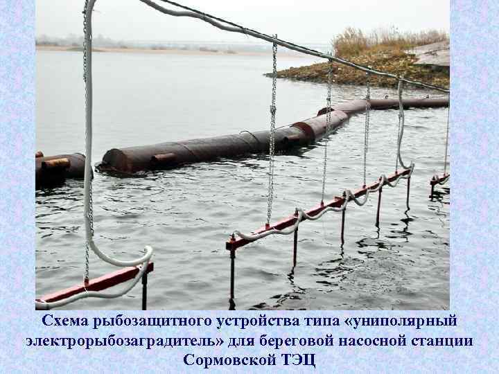 Схема рыбозащитного устройства типа «униполярный электрорыбозаградитель» для береговой насосной станции Сормовской ТЭЦ 