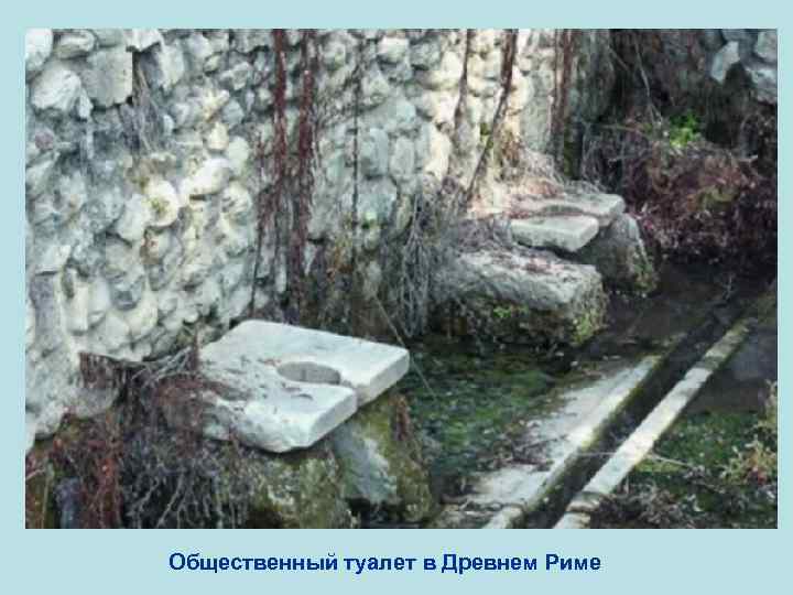 Общественный туалет в Древнем Риме 