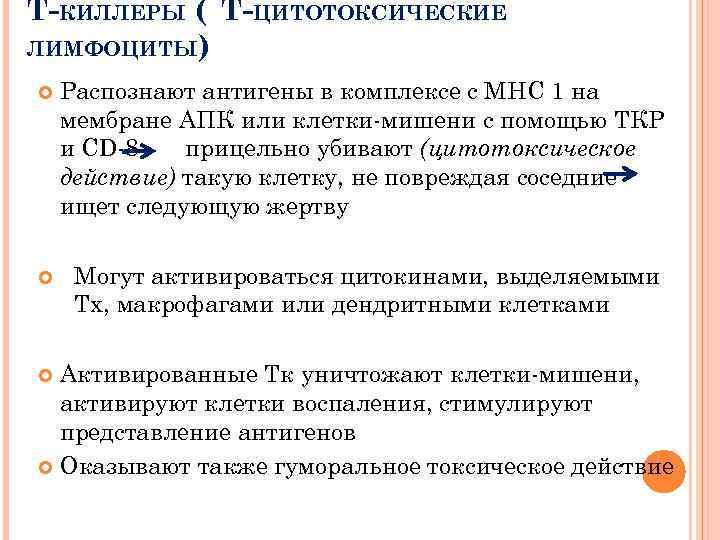 Т-КИЛЛЕРЫ ( Т-ЦИТОТОКСИЧЕСКИЕ ЛИМФОЦИТЫ) Распознают антигены в комплексе с МНС 1 на мембране АПК