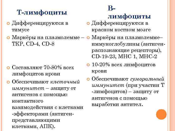 Влимфоциты Т-лимфоциты Дифференцируются в тимусе Маркёры на плазмолемме – ТКР, CD-4, CD-8 Составляют 70