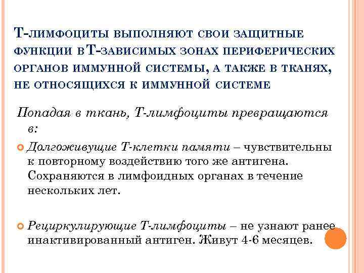Т-ЛИМФОЦИТЫ ВЫПОЛНЯЮТ СВОИ ЗАЩИТНЫЕ ФУНКЦИИ В Т-ЗАВИСИМЫХ ЗОНАХ ПЕРИФЕРИЧЕСКИХ ОРГАНОВ ИММУННОЙ СИСТЕМЫ, А ТАКЖЕ