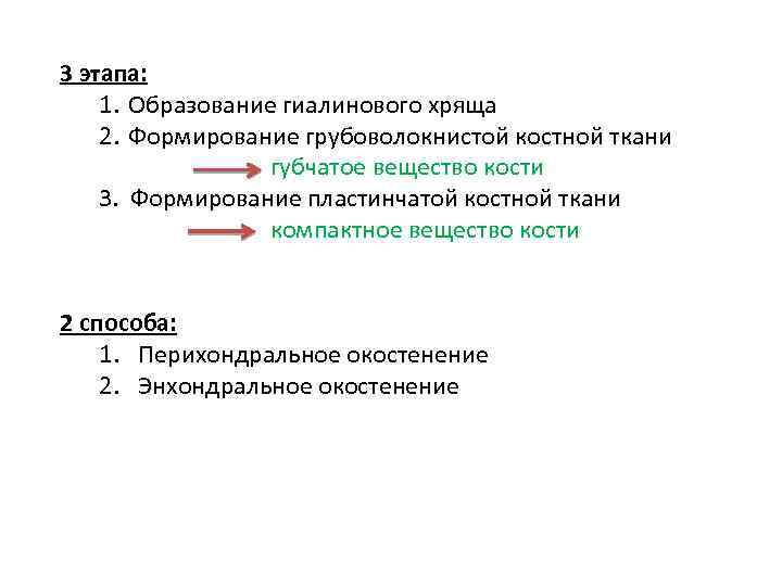 3 этапа: 1. Образование гиалинового хряща 2. Формирование грубоволокнистой костной ткани губчатое вещество кости