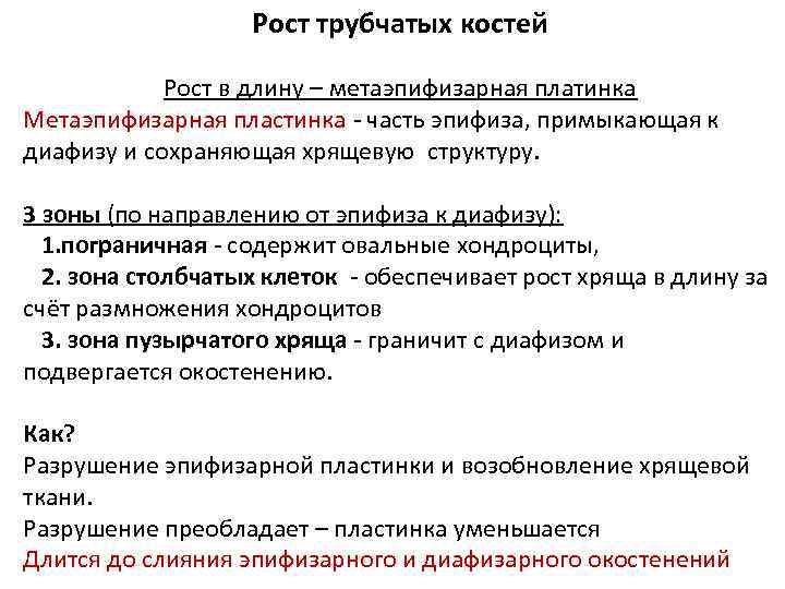 Рост трубчатых костей Рост в длину – метаэпифизарная платинка Метаэпифизарная пластинка - часть эпифиза,