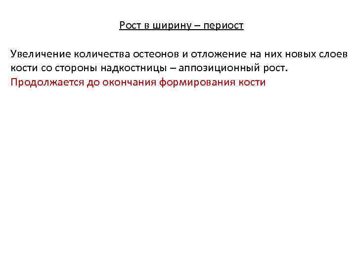 Рост в ширину – периост Увеличение количества остеонов и отложение на них новых слоев