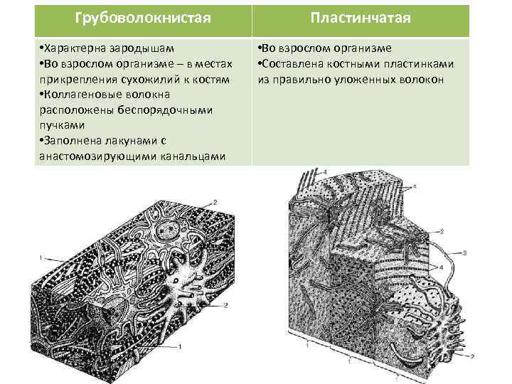 Роллинг резерв схема обмана