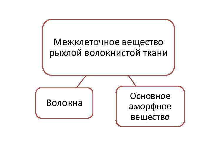 Межклеточное вещество рыхлой волокнистой ткани Волокна Основное аморфное вещество 
