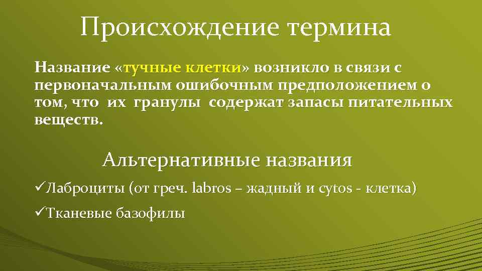 Происхождение термина Название «тучные клетки» возникло в связи с первоначальным ошибочным предположением о том,