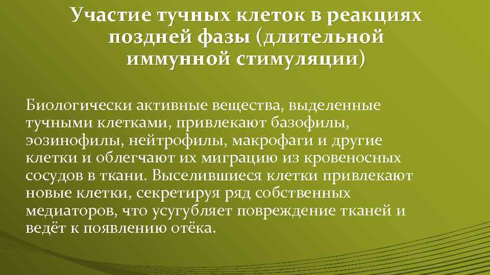 Участие тучных клеток в реакциях поздней фазы (длительной иммунной стимуляции) Биологически активные вещества, выделенные