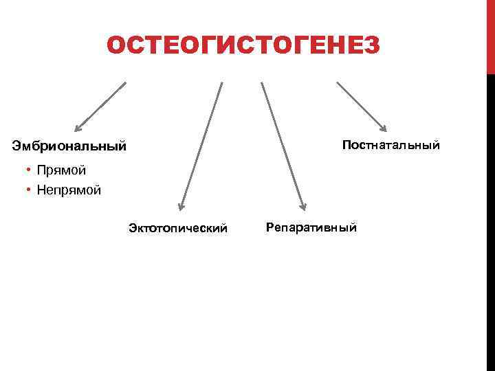 ОСТЕОГИСТОГЕНЕЗ Постнатальный Эмбриональный • Прямой • Непрямой Эктотопический Репаративный 