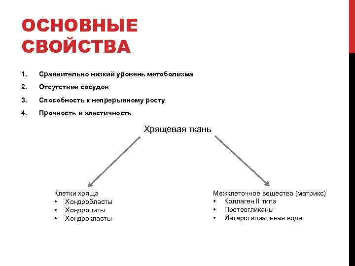 ОСНОВНЫЕ СВОЙСТВА 1. Сравнительно низкий уровень метоболизма 2. Отсутствие сосудов 3. Способность к непрерывному