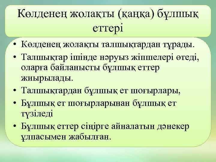 Көлденең жолақты (қаңқа) бұлшық еттері • Көлденең жолақты талшықтардан тұрады. • Талшықтар ішінде нәруыз