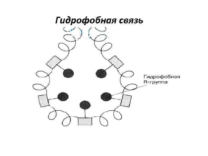Гидрофобная связь 