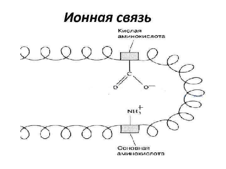 Ионная связь 