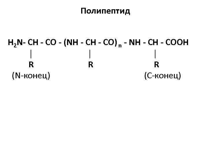 Полипептид H 2 N- СН - СО - (NН - СО) n - NН