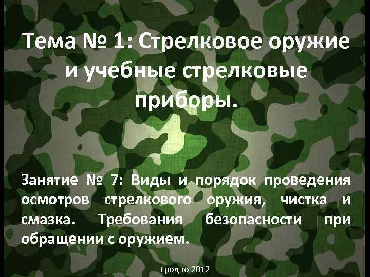 Тема № 1: Стрелковое оружие и учебные стрелковые приборы. Занятие № 7: Виды и