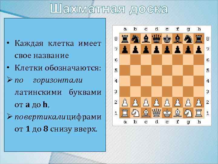 Шахматная доска • Каждая клетка имеет свое название • Клетки обозначаются: Ø по горизонтали