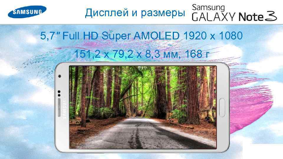 Дисплей и размеры 5, 7