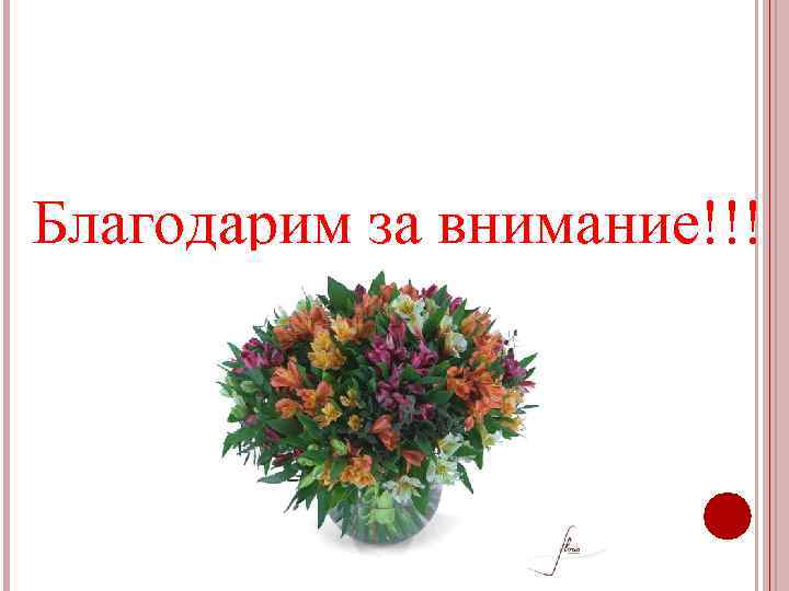 Благодарим за внимание!!! 