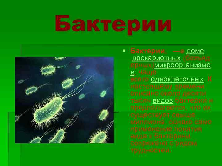 Бактерии § Бактерии, —в доме прокариотных (безъяд ерных)микроорганизмо в, чаще всего одноклеточных. К настоящему