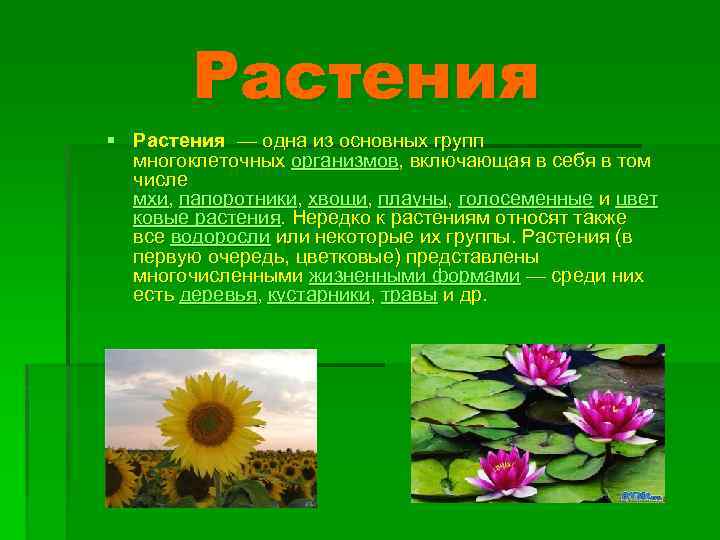 Растения § Растения — одна из основных групп многоклеточных организмов, включающая в себя в